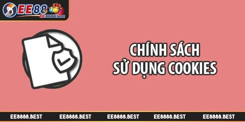 Cam kết về bảo mật thông tin